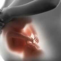 ¿Qué es la programación fetal?