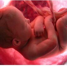 Placenta ¿viste la tuya?