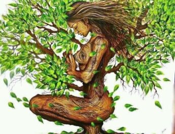 medicina ayurveda