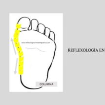 REFLEXOLOGIA EN BEBES