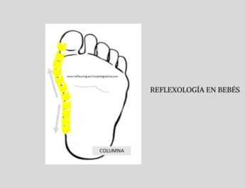 REFLEXOLOGIA EN BEBES