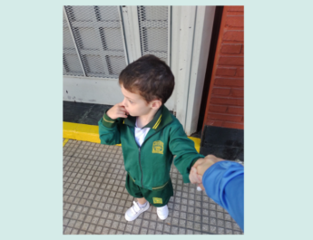 adaptacion al jardin