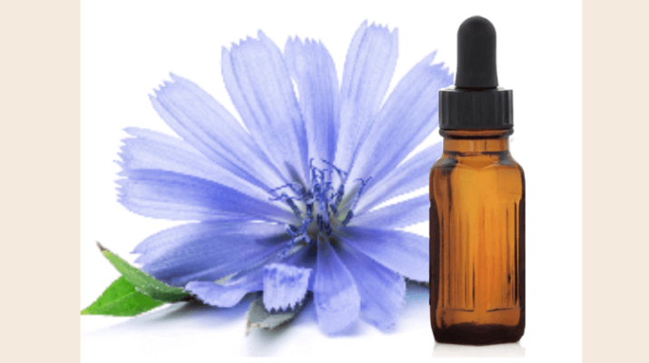 beneficios de la terapia floral