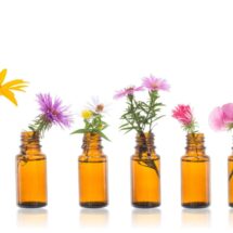 Las Flores de Bach, ¿funcionan?