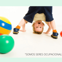 Somos Seres Ocupacionales