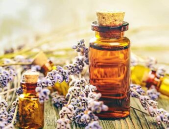 Flores de Bach para armonizar la salud