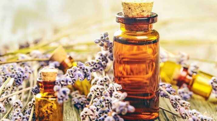 Flores de Bach para armonizar la salud