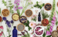Aromaterapia: una herramienta de bienestar que se cultiva cerca