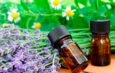 ¿Qué es la terapia floral?