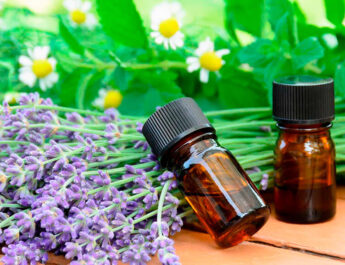 ¿Qué es la terapia floral?