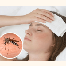 Todo sobre el Dengue