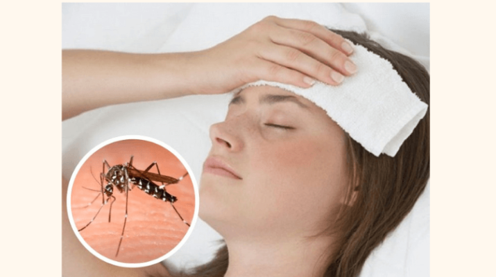 Todo sobre el Dengue