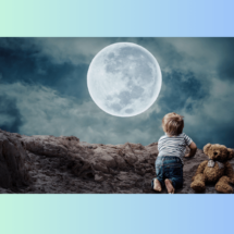 Programas de supervivencia infantil