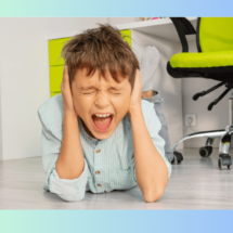 Ampliando el repertorio: Meltdown, Shutdown y Burnout