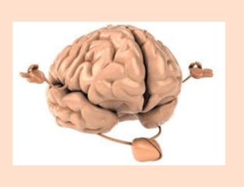 Mindfulness: El impacto de la función y anatomía del cerebro