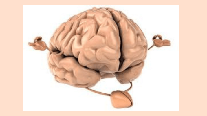 Mindfulness: El impacto de la función y anatomía del cerebro