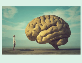 Derribando neuromitos