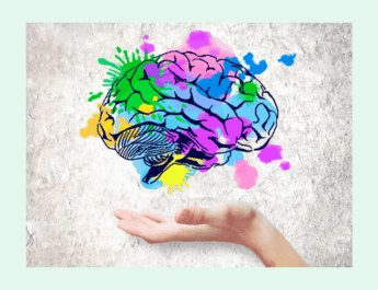 Neurogénesis y neuroplasticidad