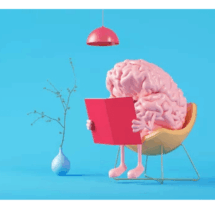 Neuroplasticidad: La ciencia que demuestra que el cambio es posible